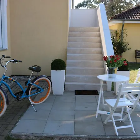 Am Steinhuder Dz-margarite- Mit Kl Pantry Küche, Garten, Wlan Apartment *